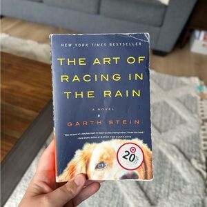 THE ART OF RACING IN THE RAIN book